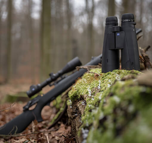Teaser-Bild-Optik Teaser-Bild-Optik
